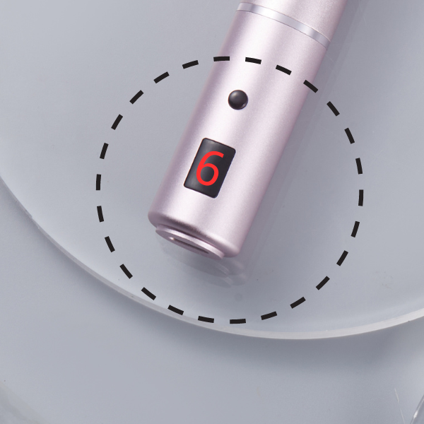 6 level speeds of Yastrid derma pen